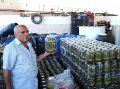 Sarıgöl'den Yurtdışına Bağ Yaprağı İhracatı