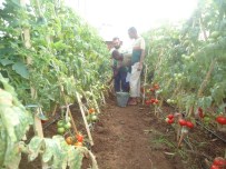 EĞİTİM SÜRESİ - Somali Tarım Okulu Projesi Meyvelerini Verdi