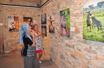Bodrum'da 'Yaban' Fotoğraf Sergisi Açıldı