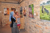GÜNEY AFRIKA CUMHURIYETI - Bodrum'da 'Yaban' Fotoğraf Sergisi Açıldı