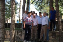 KENT ORMANI - Bursa Orman Bölge Müdürü Coşkun'dan İnceleme