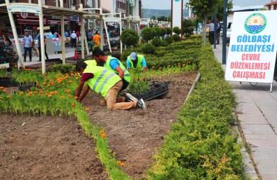 Gölbaşı Çiçeklerle Renklendi