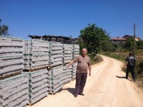 Küre'de Kilit Parke Çalışmaları Devam Ediyor