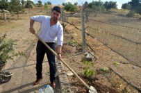 AKSARAY MERKEZ - MHP Merkez İlçe Başkanı Kalfaoğlu, Şehitler İçin Fidan Dikti