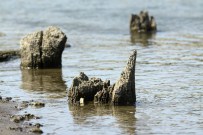 Sular Çekilince Osmanlı'ya Ait Köprü Kalıntıları Bulundu