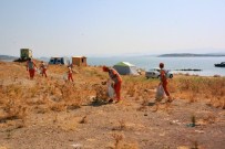 NAYLON POŞET - Ayvalık Belediyesi Çevre Temizliğine Önem Veriyor