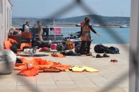 CUNDA ADASı - Ayvalık'ta 69 Kaçak Yakalandı