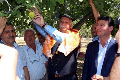 Başkan Akın, İncir Üreticisine Bereketli Bir Sezon Diledi