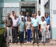 MUSTAFA BAŞOĞLU - Bu Yıl Buğdaydaki Protein Değerleri Düşük