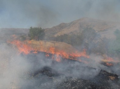 Elazığ'da Orman Yangını