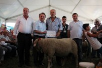 TEKNOLOJİ FUARI - En Güzel 'Koç'lar Altını Aldı