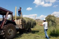 ATAERKIL - Gümüşhane'de Hasat Mevsimi Son Günlerini Yaşıyor