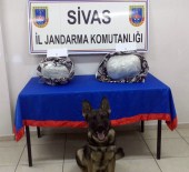 Sivas'ta 25 Kilo 175 Gram Esrar Ele Geçirildi