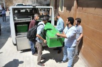 IŞİD - Suruç saldırısına bir can daha