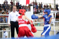 Alt Minikler Türkiye Boks Şampiyonası, Adıyaman'da Başladı