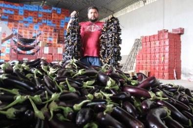 Aydın'da Oyuluyor, Dünyayı Doyuruyor