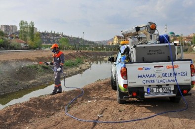 Mamak'ta Haşere Mücadelesi Devam Ediyor