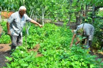 DARMADAĞıN - Marmara Depreminin 16. Yılında Acılar Hala Taze