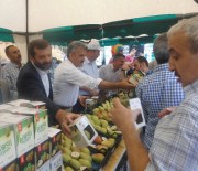 MEHMET MAKAS - Şehir Merkezinde Tonlarca Armut Dağıttılar