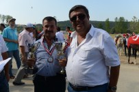 ALI KARAMıK - 24. Kayapa Rahvan At Yarışları
