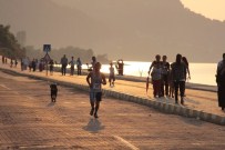 46. Geleneksel Çatalzeytin Ginolu Koşusu Yapıldı