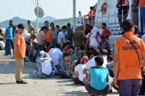 CUNDA ADASı - Balıkesir'de 252 Kaçak Yakalandı