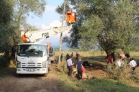 BAHÇEKÖY - Bolu'da Elektrik Akımına Kapılan 4 İnek Telef Oldu