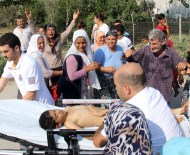 Küçük İsmail'in İnanılmaz Kurtuluşu