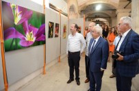 DURSUN ALI ŞAHIN - 'Akademi Rumeli 3' Etkinliği