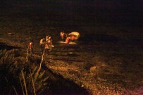 Bodrum'da mülteci botu battı