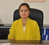 BOSTANIÇI - Hasta Çocuğu Almaya Giden Ambulansa Saldırı