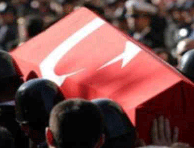 Lice'de 2 asker daha şehit oldu