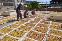 İMTİYAZ - Nazilli İnciri Pazara Çıktı