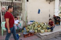 Silopi'de Kavun Fiyatı 25 Kuruşa Düştü