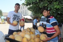 ORGANİK SEBZE - Tezgahları Doğal Ürünler Süslüyor