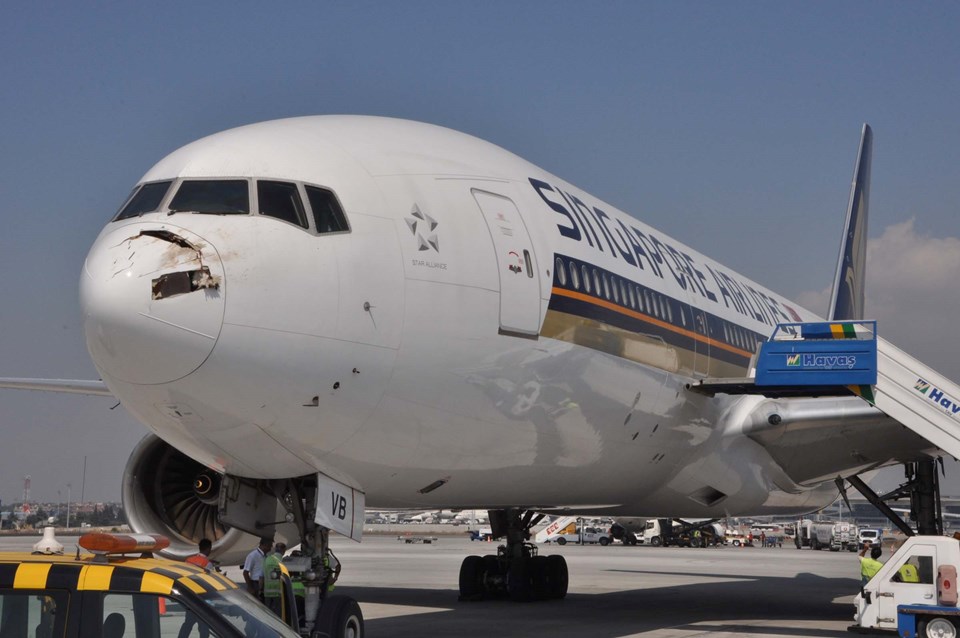 Uçak leylek sürüsüne çarpınca acil iniş yaptı