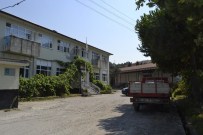 Alaplı FİSKOBİRLİK Fındık Alımlarına Başlıyor