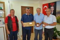 Ankara'da Arıcılar Bal Hasadına Başladı