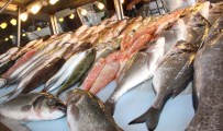 AV YASAĞI - Balık Fiyatları Altını Solladı