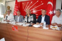 AYŞE GÜLSÜN BİLGEHAN - CHP Samsun Milletvekili Zeybek Açıklaması