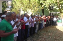 Edirne'de Elektrik Akımına Kapılan İşçi Öldü