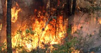 Karabük'teki Orman Yangını Kısmen Kontrol Altında