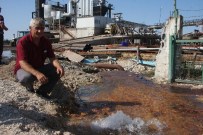 SULAMA KANALI - Fabrikanın Saldığı Sular Yüzlerce Dönüm Sebzeyi Çürüttü