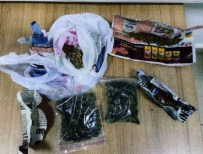 ŞAFAK OPERASYONU - Karabük'te Büyük Uyuşturucu Operasyonu Açıklaması 17 Gözaltı