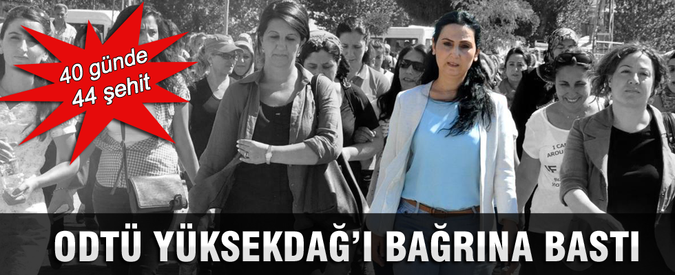 ODTÜ Yüksekdağ'ı bağrına bastı