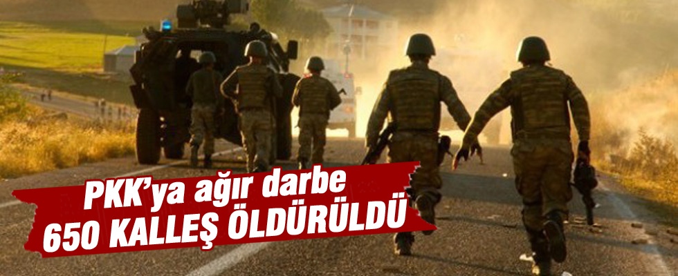 Operasyonlarda toplam 650 terörist öldürüldü