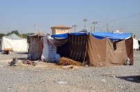 TELABYAT - Ülkelerine Dönemeyen Mülteciler Tır Garajında Bekliyor