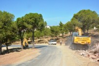 AYVALIK BELEDİYESİ - Ayvalık Belediyesi Ağaçları Kesmemek İçin Yol Güzergahını Değiştirdi