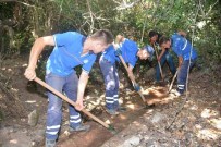 Büyükşehir, 15 Yıl Sonra Tarımı Tekrar Canlandırdı