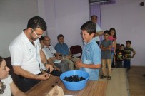 İş Umudu Leğen İçerisindeki Mis Kutularında